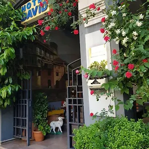 Hotel David - Ethno Style ***